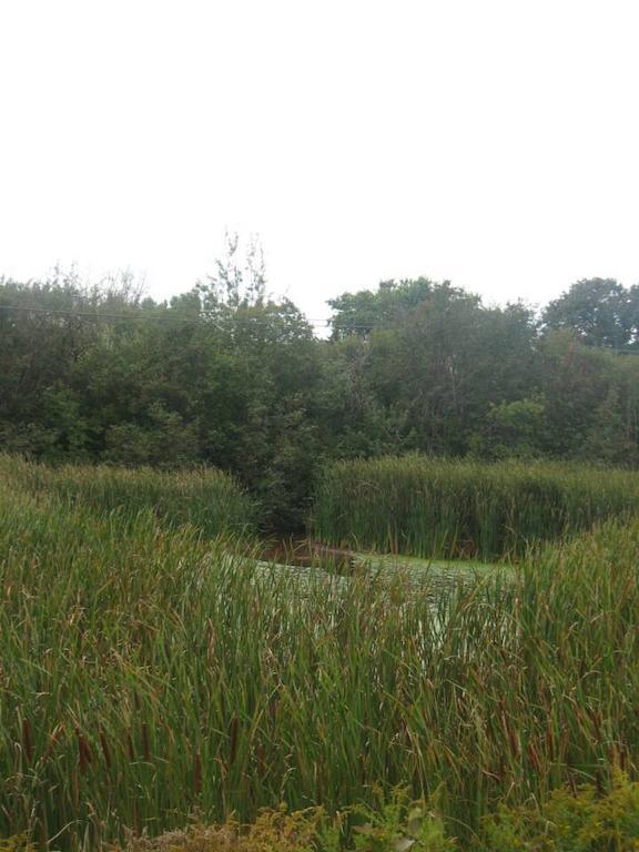 萨默塞德汽车旅馆及小屋 外观 照片